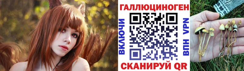 что такое наркотик  OMG ТОР  Псилоцибиновые грибы Psilocybe  Лахденпохья 